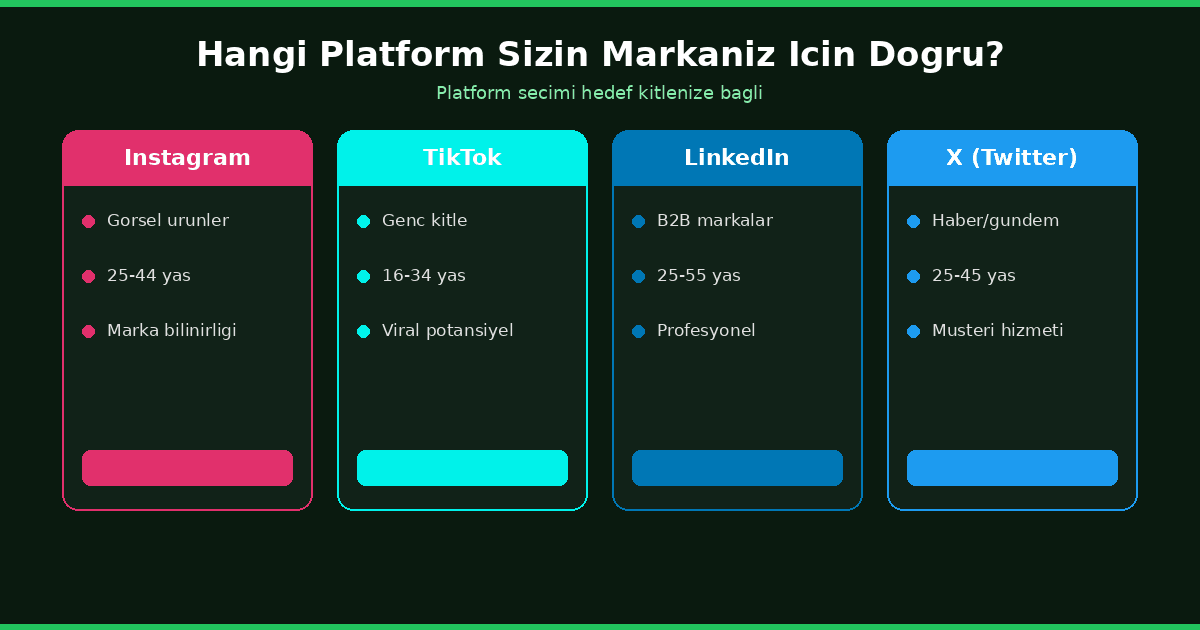 sosyal medya platform seçimi karşılaştırma infografiği
